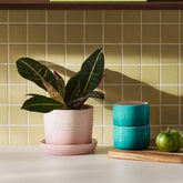 Straight Wall Ramekin, Set of 2