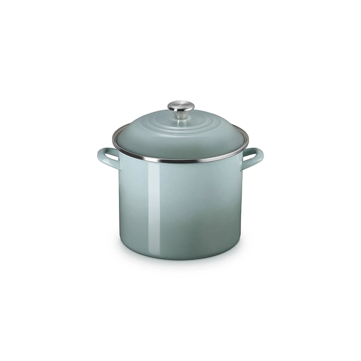 Stockpot